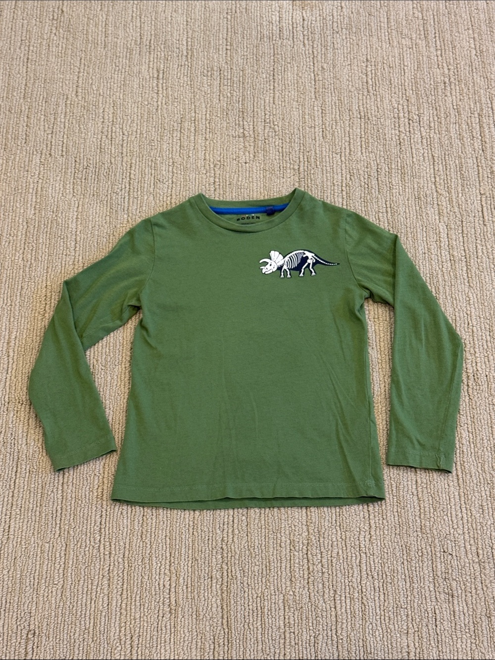 Mini Boden Dinosaur Cotton Graphic TShirt